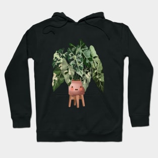 Cute Plant Illustration, Philodendron Burle Marx Variegated Hoodie